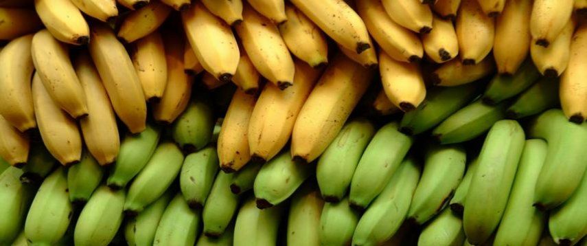 Бананы: вкусно и полезно?