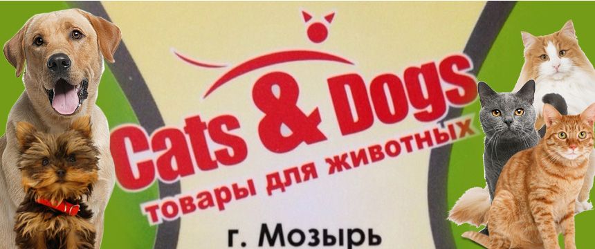 Зоомагазин Cats & Dogs