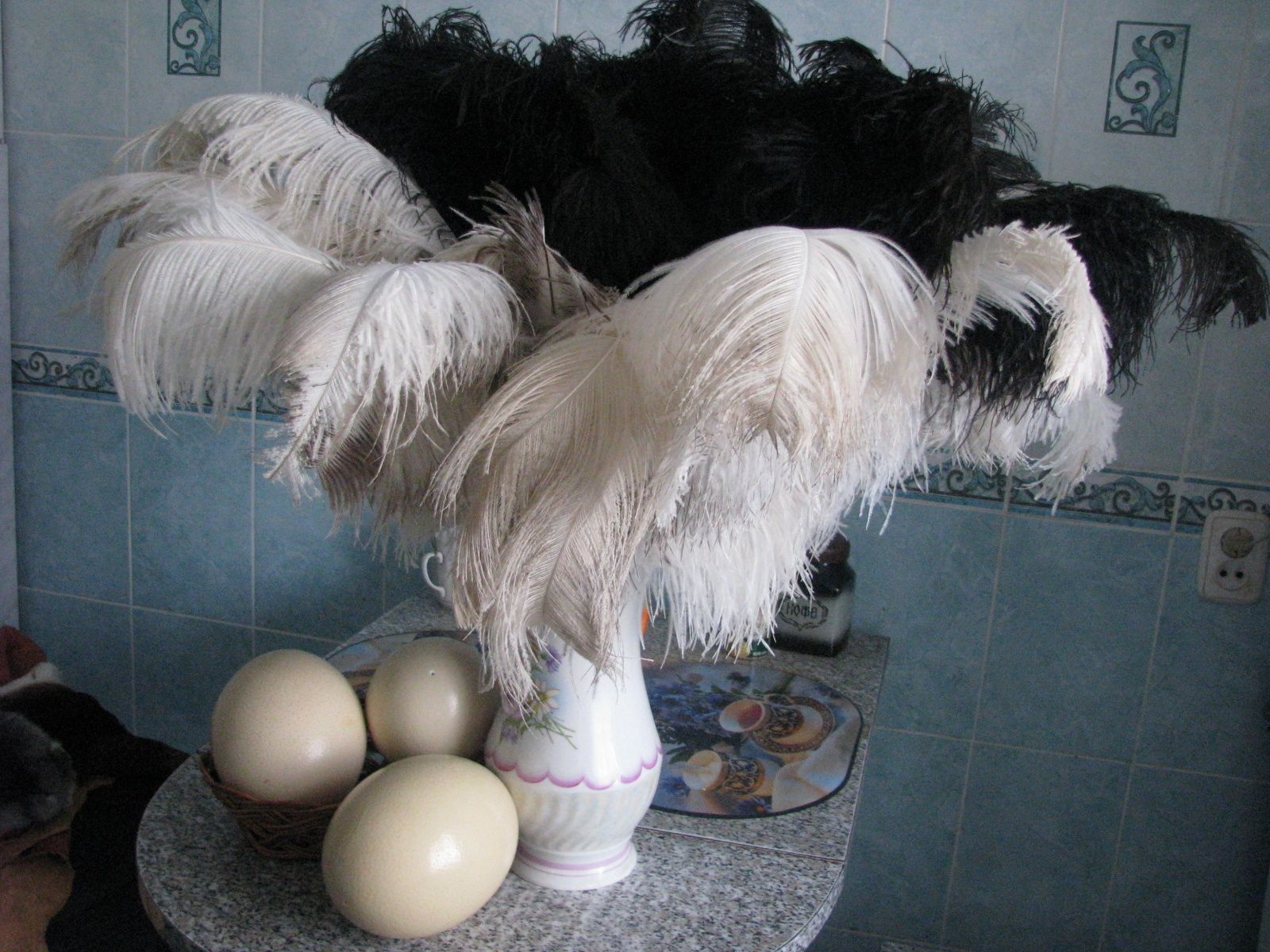 Супердиетическое яйцо, перо и кожа африканского страуса