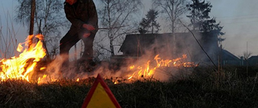 В «Чернобыльской пуще» (Киевская область) горит лес.