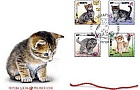 В Беларуси выпущены самые мимишные почтовые марки - с котятами
