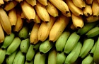 Бананы: вкусно и полезно?