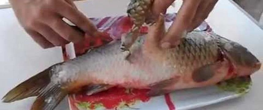 Как почистить рыбу в квартире и не испачкать кухню чешуей (видео)