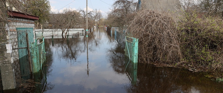 Талые и паводковые воды подтопили почти 40 подворий в Гомельской области