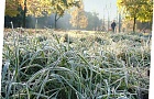 В Беларуси ожидаются заморозки