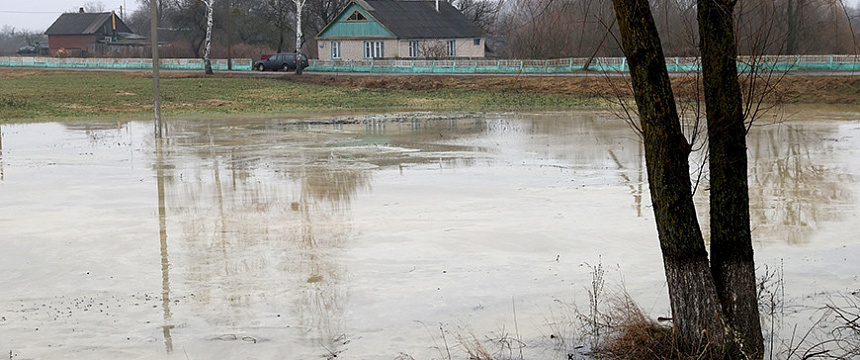 Талые воды подтопили 11 дачных домов и 29 хозпостроек в Мозырском раоне