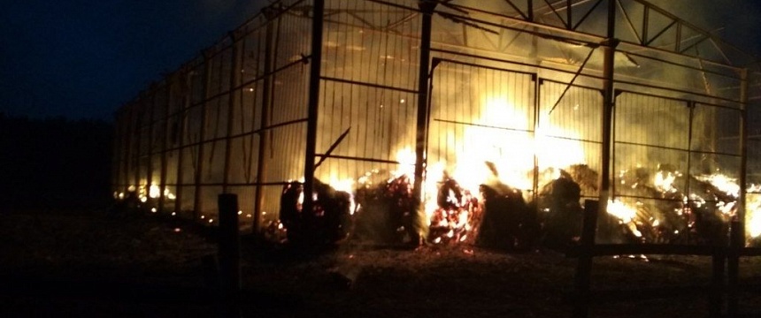 В Калинковичском районе сгорело 20 тонн сена