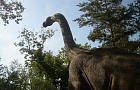 31 июля в Беларуси откроется первый Парк динозавров