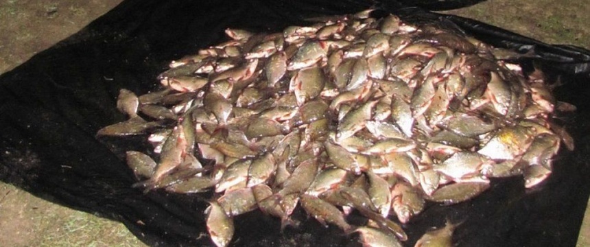 Рыбалка на Припяти за 40 миллионов