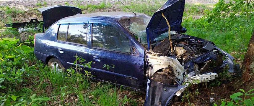 В Лельчицком районе водитель уснула за рулем и врезалась в дерево