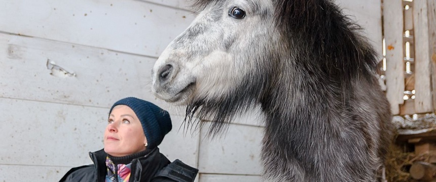 Семья из Мозыря спасла пони от смерти, учит снова ходить и верить людям