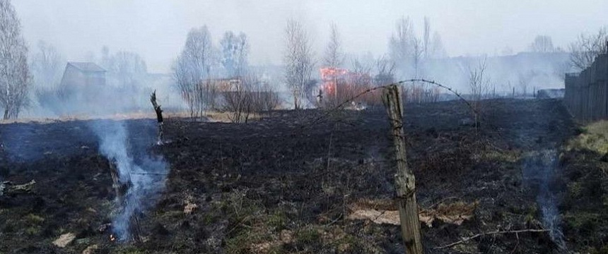 В Мозырском районе при пале травы сгорели пять дач