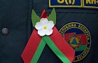 Новый символ Победы: зелено-красная лента, украшенная цветком яблони