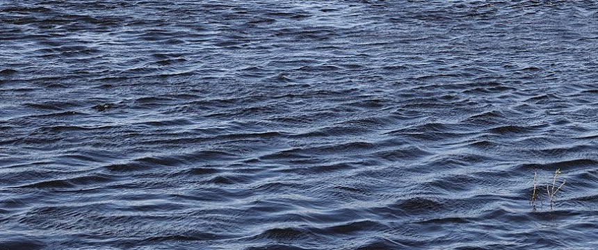 Два человека утонули в водоемах Гомельской области