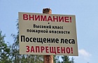 Запрет на посещение лесов в Мозырском районе. Что еще запрещено нам в летний период