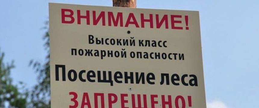 Запрет на посещение лесов в Мозырском районе. Что еще запрещено нам в летний период