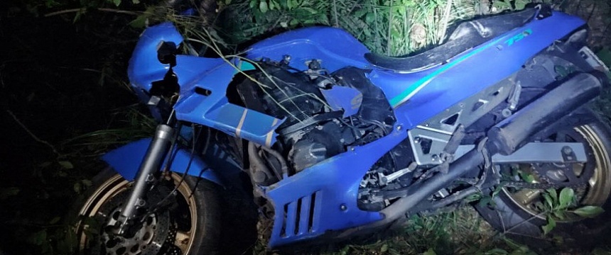 Мотоциклист в Калинковичском районе врезался в лося и погиб