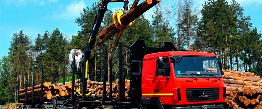 В Бобруйском районе упавшая лапа лесовоза повредила три автомобиля - один из Мозыря