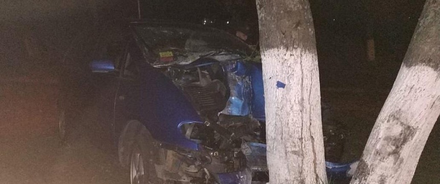 В Мозыре 22-летний водитель совершил наезд на дерево и скрылся с места ДТП