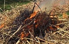 Пожар на сенохранилище. В д.Творичевка сгорело 120 тонн сена