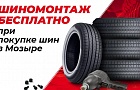 Мозырским автомобилистам предлагают бесплатный шиномонтаж при покупке новых шин