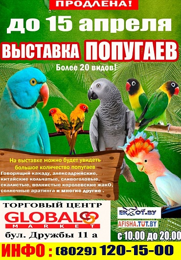 Выставка попугаев в ТЦ Global Market