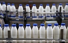 Белорусские ученые работают над созданием специализированных молочных продуктов