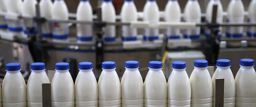 Белорусские ученые работают над созданием специализированных молочных продуктов